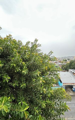 Apartamento para alugar com 70m², 2 quartos e 1 vagaVista do Quarto 2