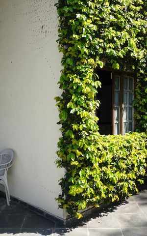 Casa para alugar com 625m², 5 quartos e 5 vagasVaranda gourmet