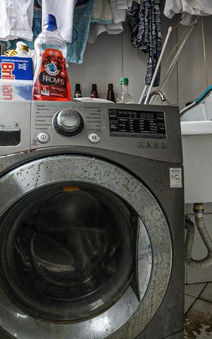 Apartamento para alugar com 52m², 2 quartos e 1 vaga Apartamento para alugar com 52m², 2 quartos e 1 vagaÁrea de Serviço