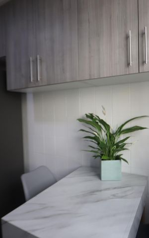 Apartamento para alugar com 44m², 2 quartos e 1 vagaCozinha