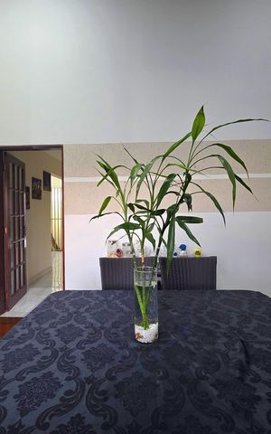 Casa à venda com 498m², 3 quartos e 4 vagas Casa à venda com 498m², 3 quartos e 4 vagasSala