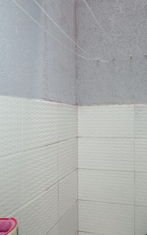 Casa de condomínio à venda com 63m², 2 quartos e 1 vagaÁrea de Serviço