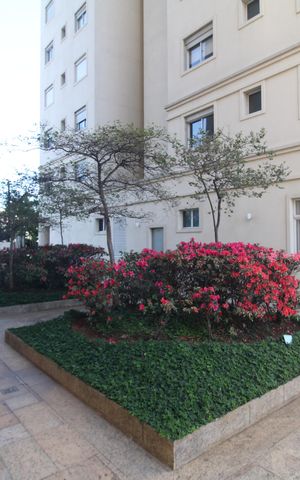 Apartamento para alugar com 78m², 3 quartos e 2 vagasÁrea Comum