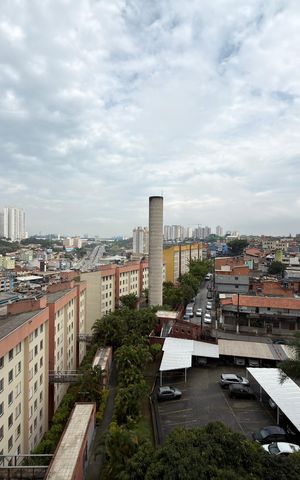 Apartamento para alugar com 55m², 2 quartos e 1 vaga Apartamento para alugar com 55m², 2 quartos e 1 vagaSala Vista
