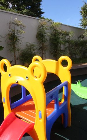 Apartamento para alugar com 55m², 2 quartos e 1 vagaÁrea comum - Playground