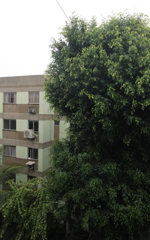 Apartamento à venda com 52m², 2 quartos e 1 vagaQuarto 2 - Vista