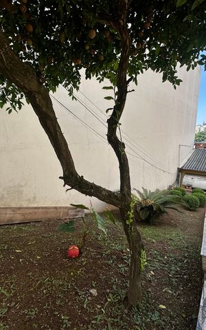 Casa à venda com 50m², 2 quartos e 1 vaga Casa à venda com 50m², 2 quartos e 1 vagaQuintal