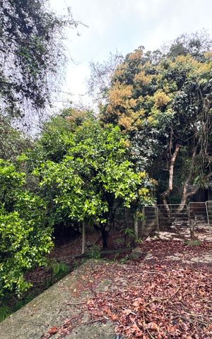 Casa de condomínio para alugar com 250m², 3 quartos e 8 vagasÁrea externa