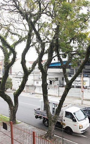 Apartamento à venda com 114m², 3 quartos e sem vagaQuarto 3 Suíte Vista