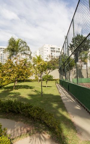 Apartamento à venda com 550m², 1 quarto e sem vagaQuadra Esportiva