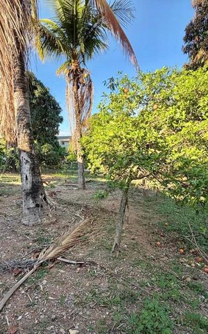 Casa para alugar com 1000m², 3 quartos e 6 vagas Casa para alugar com 1000m², 3 quartos e 6 vagasQuintal