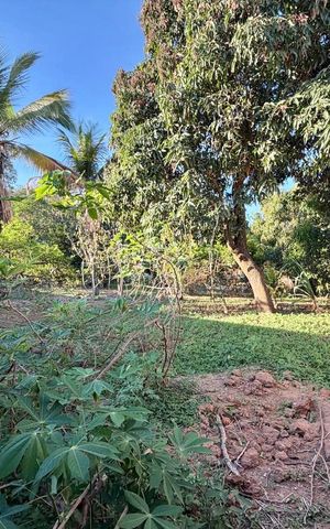 Casa para alugar com 1000m², 3 quartos e 6 vagas Casa para alugar com 1000m², 3 quartos e 6 vagasQuintal
