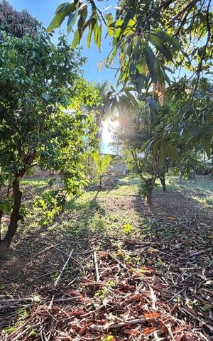 Casa para alugar com 1000m², 3 quartos e 6 vagas Casa para alugar com 1000m², 3 quartos e 6 vagasQuintal