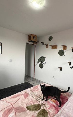 Casa à venda com 134m², 2 quartos e 2 vagas Casa à venda com 134m², 2 quartos e 2 vagasQuarto 1