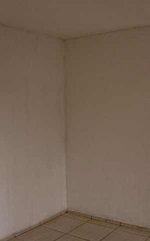 Apartamento para alugar com 50m², 2 quartos e 1 vaga Apartamento para alugar com 50m², 2 quartos e 1 vagaSala