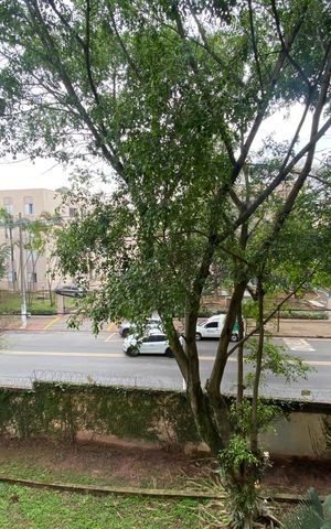 Apartamento para alugar com 55m², 2 quartos e 1 vaga