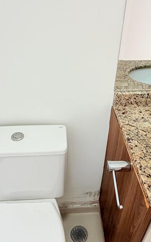 Apartamento para alugar com 70m², 2 quartos e 2 vagasBanheiro suite 