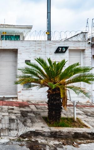 Casa à venda com 245m², 3 quartos e 2 vagasPlaca Instalada - 23/09/26 - WZLX - 790