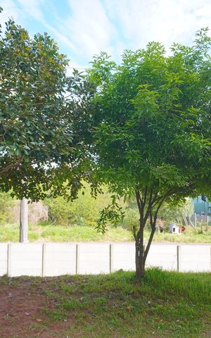 Apartamento para alugar com 60m², 2 quartos e 1 vagaVista do quarto 2