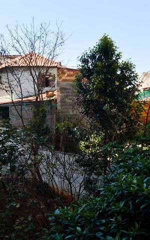 Apartamento para alugar com 51m², 2 quartos e 1 vagaVista da Varanda