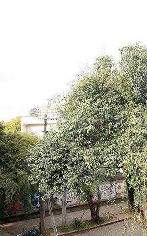 Apartamento à venda com 75m², 2 quartos e sem vagaSala Vista