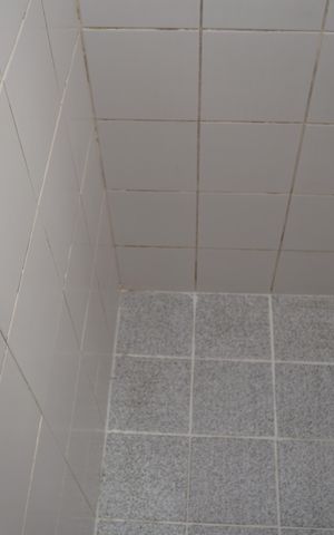 Apartamento para alugar com 64m², 3 quartos e 2 vagasBanheiro