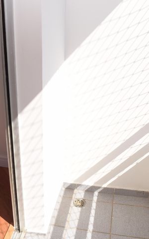 Apartamento para alugar com 64m², 3 quartos e 2 vagasVaranda