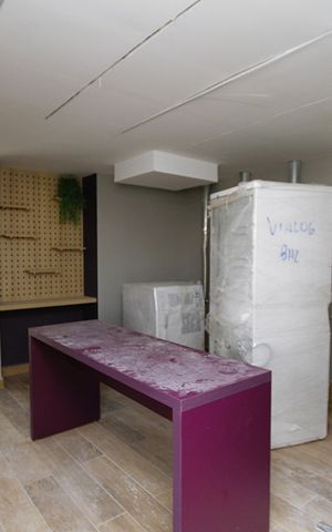 Apartamento para alugar com 55m², 2 quartos e 1 vagaLavanderia