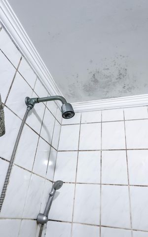 Apartamento para alugar com 80m², 2 quartos e 1 vagaBanheiro