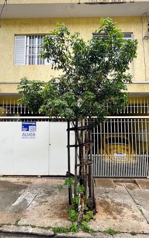Casa para alugar com 32m², 1 quarto e sem vaga Casa para alugar com 32m², 1 quarto e sem vagaPlaquinha instalada dia 06 de setembro de 2026 código da plaquinha: SWRM-1046