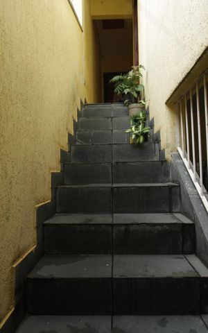 Casa para alugar com 32m², 1 quarto e sem vaga Casa para alugar com 32m², 1 quarto e sem vagaDetalhe