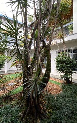 Casa para alugar com 30m², 1 quarto e sem vaga Casa para alugar com 30m², 1 quarto e sem vagaJardim