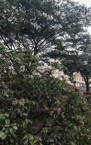 Apartamento à venda com 79m², 1 quarto e 1 vaga Apartamento à venda com 79m², 1 quarto e 1 vagaVista Sacada