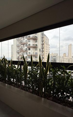 Apartamento à venda com 354m², 4 quartos e 5 vagas