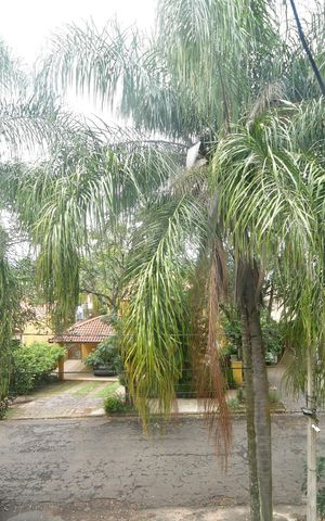 Casa de condomínio à venda com 483m², 3 quartos e 4 vagasVista do quarto 1
