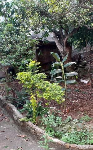 Casa à venda com 100m², 4 quartos e 4 vagas