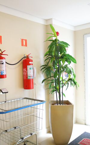 Apartamento para alugar com 42m², 2 quartos e sem vagaÁrea comum - Saguão do prédio