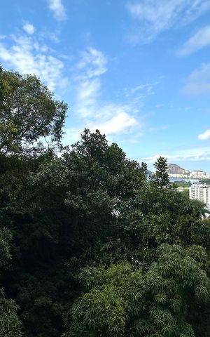 Apartamento para alugar com 118m², 3 quartos e 1 vaga