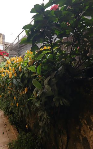 Casa à venda com 177m², 3 quartos e 3 vagasCorredor externo