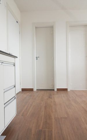 Apartamento para alugar com 35m², 2 quartos e sem vaga Apartamento para alugar com 35m², 2 quartos e sem vagaCozinha e Área de Serviço