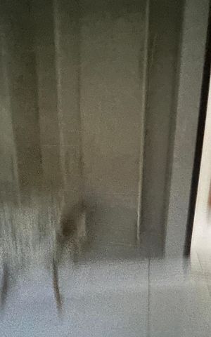 Casa para alugar com 120m², 2 quartos e 2 vagas