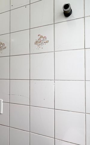 Apartamento para alugar com 65m², 3 quartos e 1 vaga Apartamento para alugar com 65m², 3 quartos e 1 vagaÁrea de Serviço