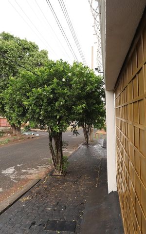 Casa para alugar com 320m², 4 quartos e 4 vagasPlaquinha
