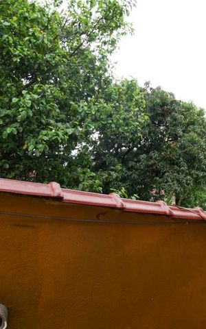Casa para alugar com 80m², 2 quartos e sem vaga Casa para alugar com 80m², 2 quartos e sem vagaÁrea externa
