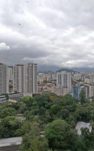 Apartamento para alugar com 77m², 2 quartos e 1 vagaVista da Varanda da Sala