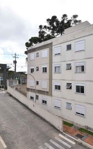 Apartamento para alugar com 44m², 2 quartos e 1 vagaVista do Quarto 2