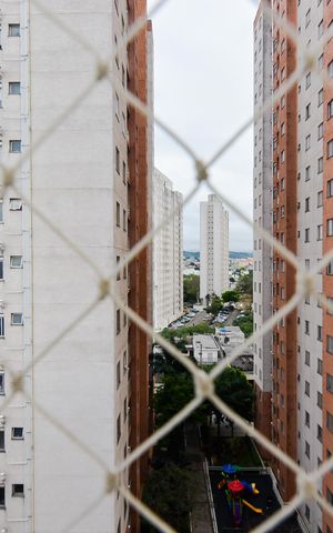 Apartamento para alugar com 50m², 2 quartos e 1 vagaVista do Quarto 1