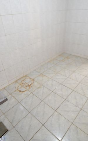 Casa para alugar com 60m², 1 quarto e sem vagaCozinha