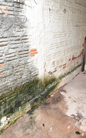 Casa para alugar com 60m², 1 quarto e sem vagaÁrea de Serviço