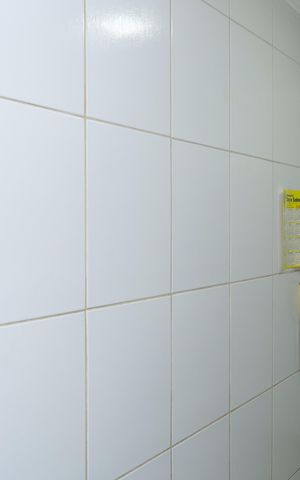 Apartamento para alugar com 68m², 3 quartos e 1 vagaÁrea de Serviço